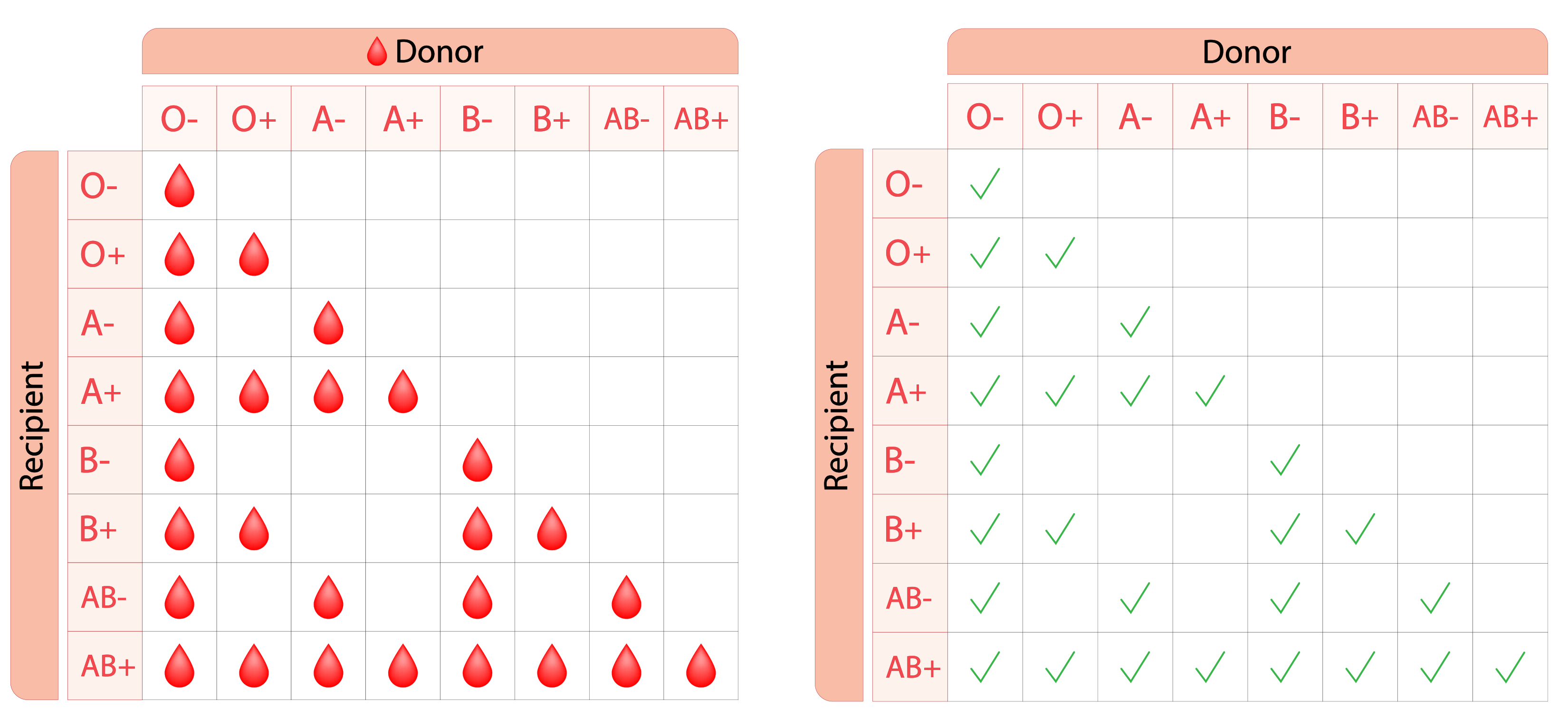 Compatibility chart showing which of the eight blood types can donate red cells to which.