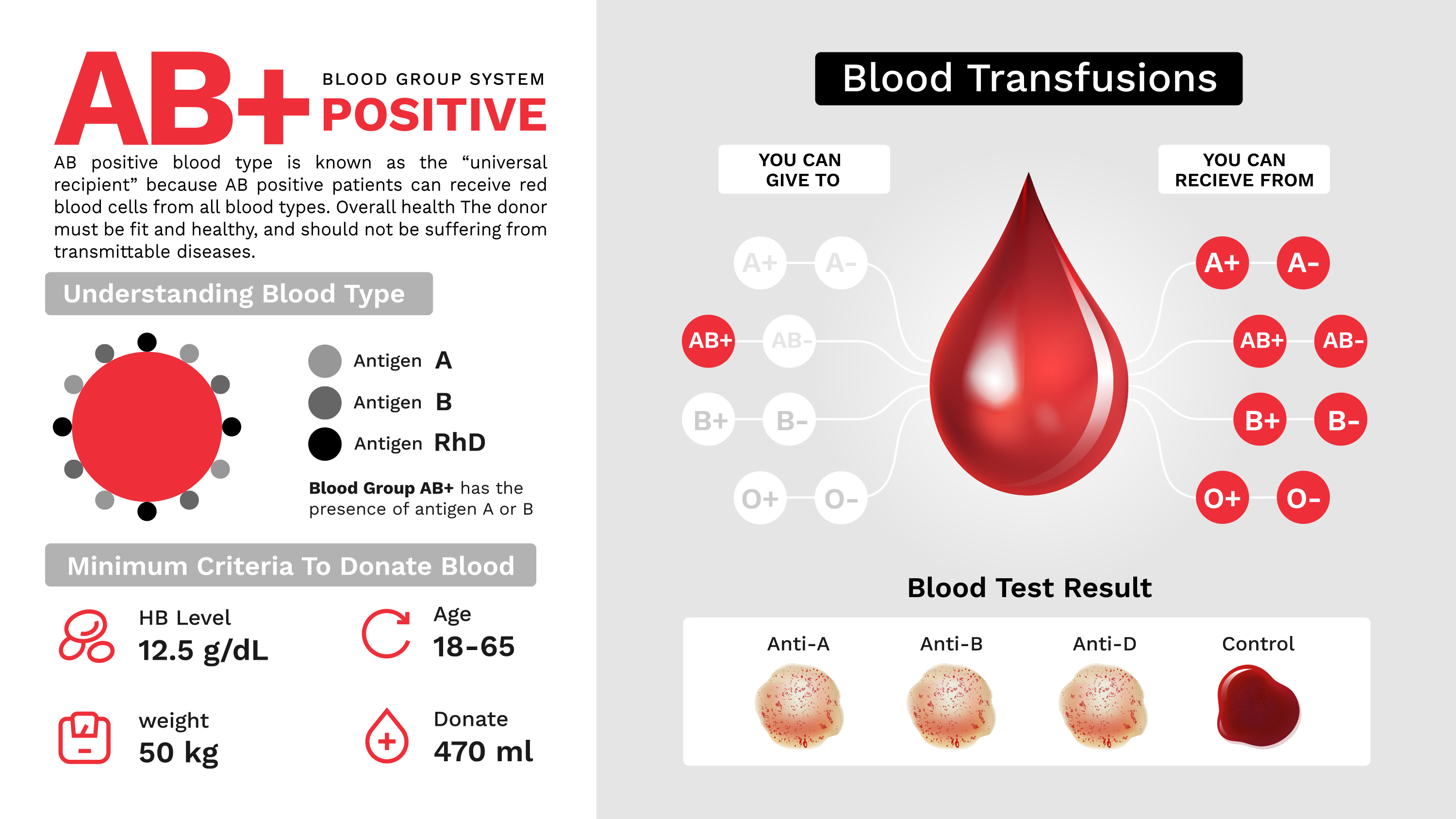 Blood groups \u2014 image 13