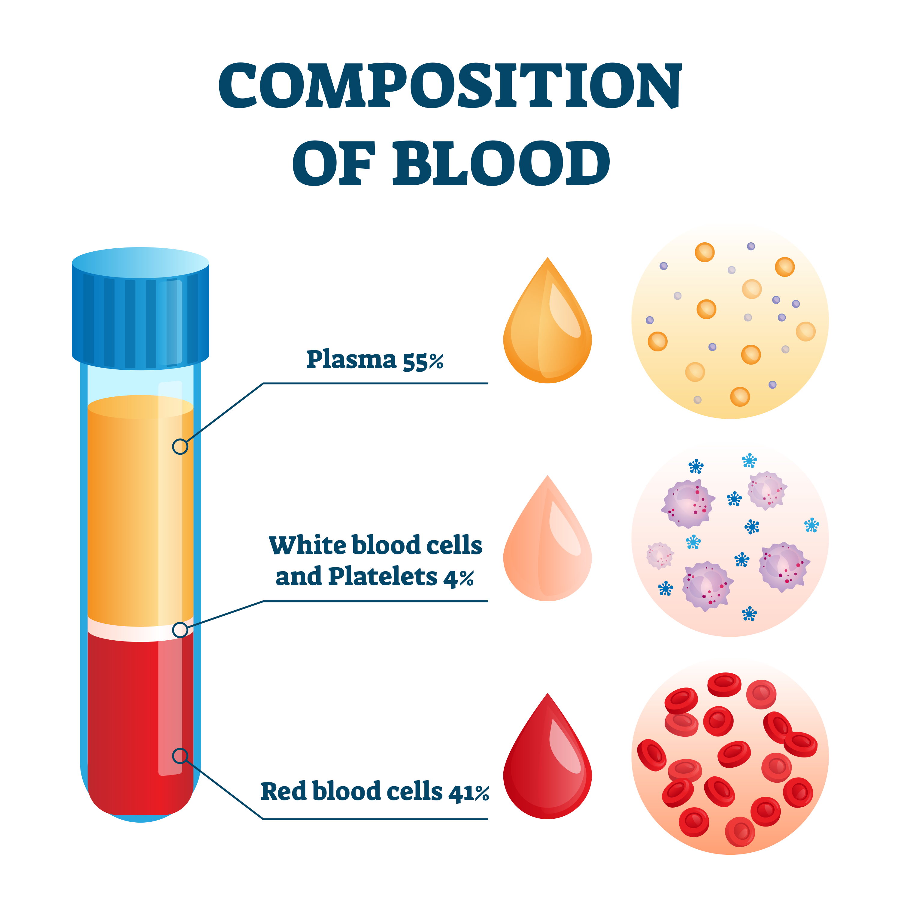 Blood groups \u2014 image 14