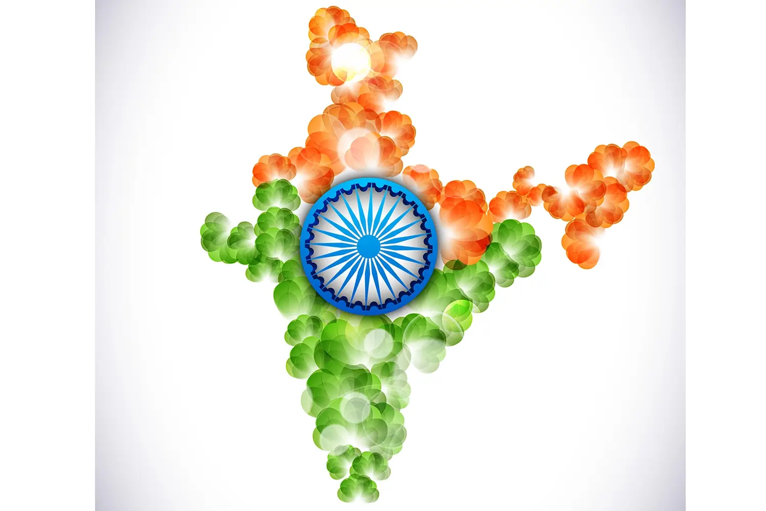 India national flag — image 08