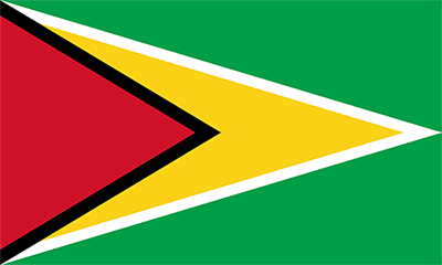 Flag of Guyana