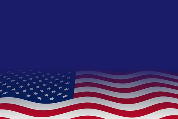 United States national flag — image 10